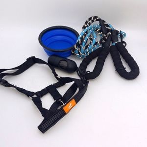 BLUE/BLK DOG  BUNDLE
